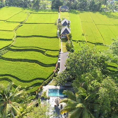 Puri Raya Villa Ubud  Exterior photo