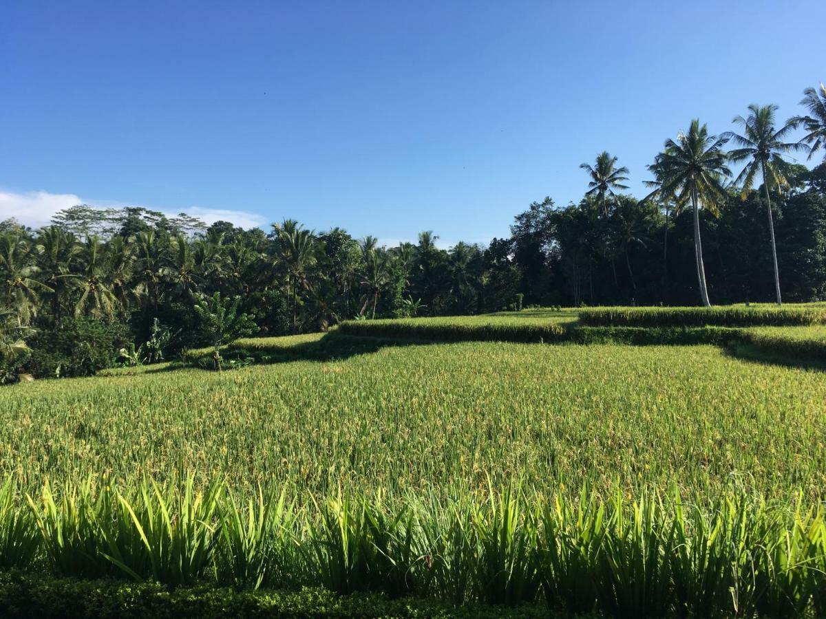 Puri Raya Villa Ubud  Exterior photo