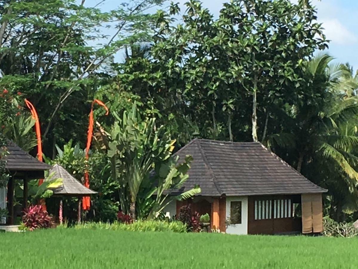 Puri Raya Villa Ubud  Exterior photo
