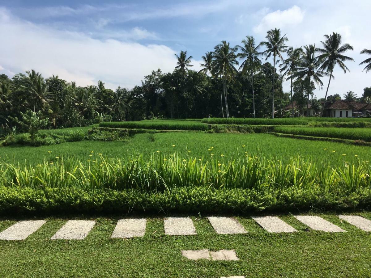 Puri Raya Villa Ubud  Exterior photo