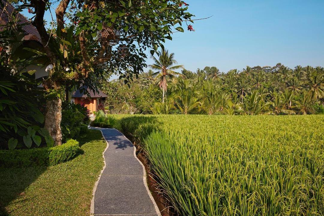 Puri Raya Villa Ubud  Exterior photo